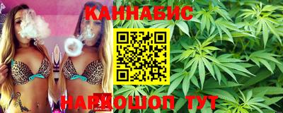 стафф Будённовск
