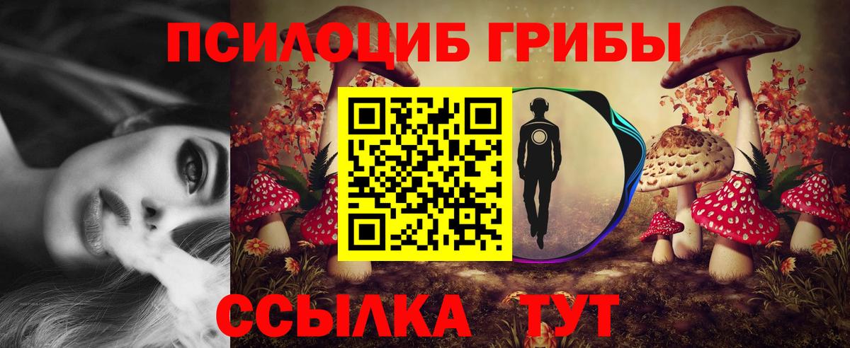 Галлюциногенные грибы Psilocybine cubensis  Галлюциногенные грибы GOLDEN TEACHER  Вход с VPN  Евпатория 